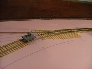 DSCF5511.JPG