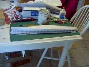 beginning hull plating 3.jpg
