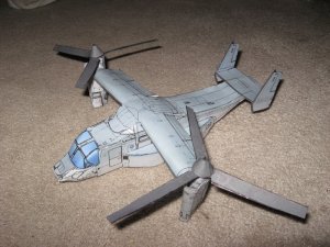 IMG_0498.jpg