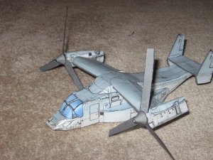IMG_0503.jpg