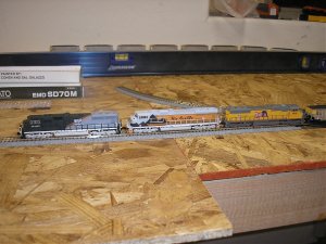 PB210005.jpg