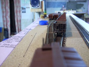 DSCN0435.JPG