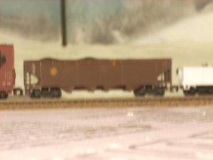 DSCN0494.JPG
