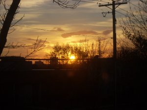 DSCN0530.JPG