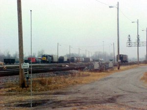 yard.jpg