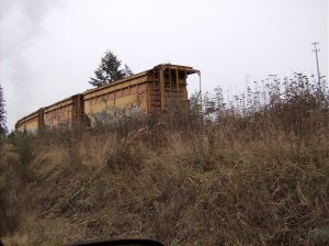 hopper 1.jpg