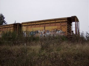 hopper 2.jpg