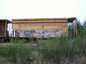 hopper 3.jpg