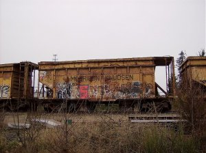 hopper 4.jpg
