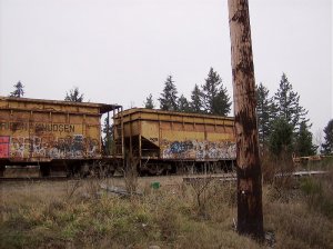 hopper 5.jpg