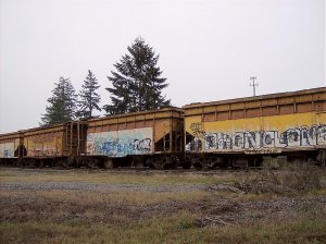 hopper 6.jpg