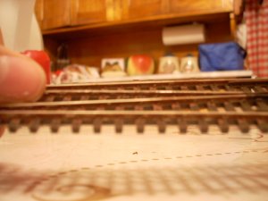 DSCN0559.JPG