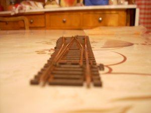 DSCN0563.JPG