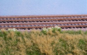 detail.jpg