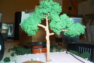 tree 001.jpg