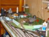 DSC01172.JPG
