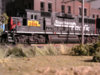 Copy of PC110021.JPG