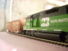 DSCN0738.JPG