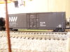 DSC01287.JPG