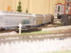 DSC01294.JPG