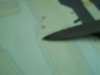 100_1271.jpg