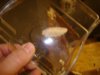 DSC00103.jpg