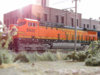 Copy of PC240118.JPG