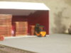 DSCN1006.JPG