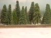 DSCN1033.JPG