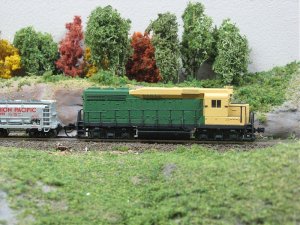 IMG_1019.jpg