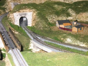 IMG_2576.jpg