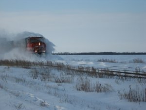 IMG_0911.jpg