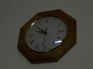 100_1483.jpg
