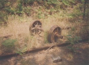 trainwheels_org.jpg