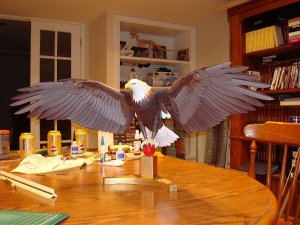 Eagle.jpg