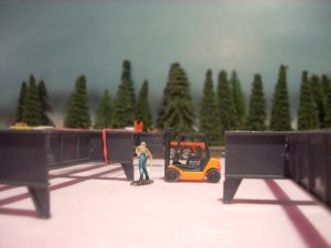 DSCN1278.JPG