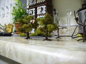 Picture 122.jpg