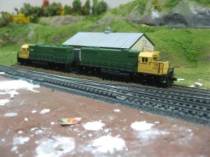 IMG_1534.jpg
