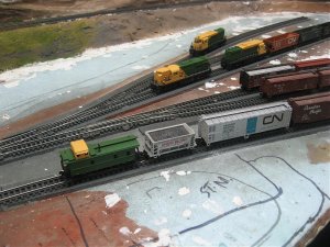 IMG_1537.jpg