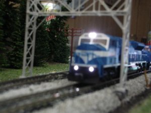 DSC01373.JPG