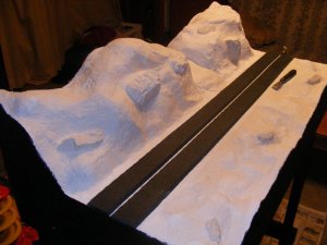 module 010.jpg