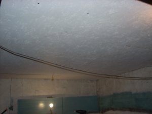 DSCN1321.JPG