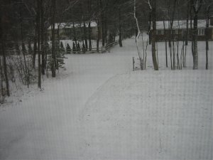 bsmt 007.jpg