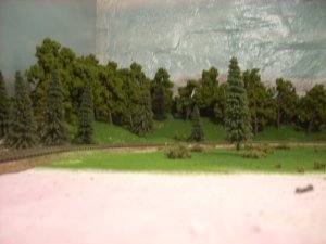 DSCN1470.JPG