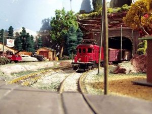 new 010.jpg