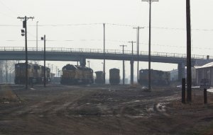 train 3.jpg