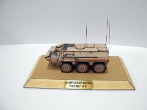 Fuchs.JPG