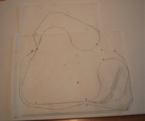 level plan.jpg