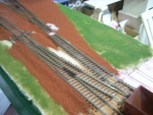 DSCN1627.JPG