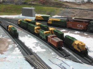 IMG_0129.jpg
